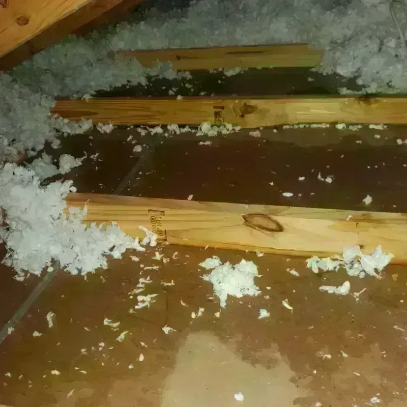 Attic Water Damage in Baker City, OR