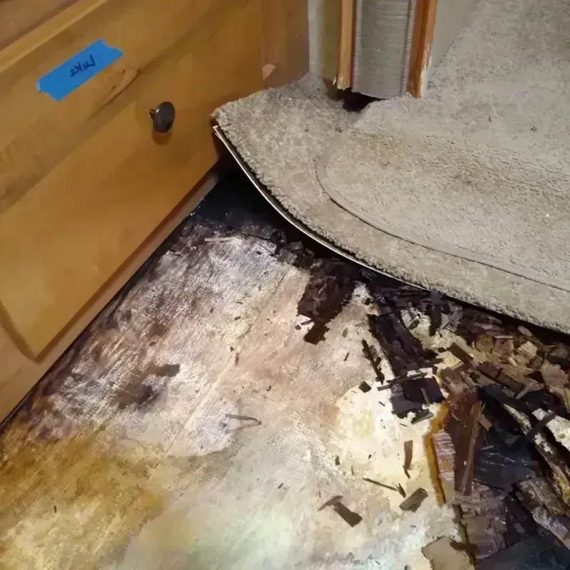 Wood Floor Water Damage in Baker City, OR